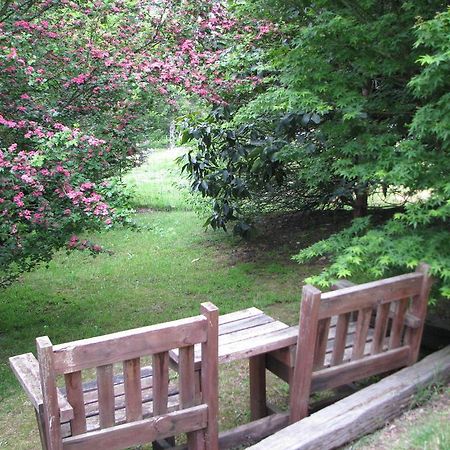 Leafield Cottages Dixons Creek Esterno foto
